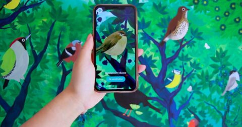 application de téléphone scannant un dessin d'oiseau
