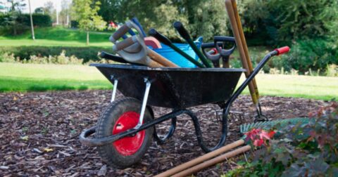 brouette remplie d'outils de jardinage