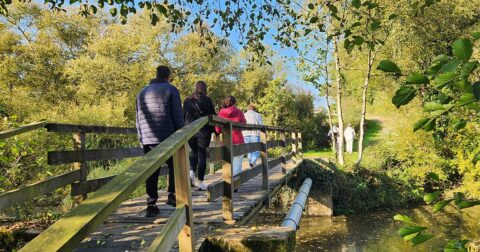groupe de marcheurs traversant un pont en bois dans un espace boisé