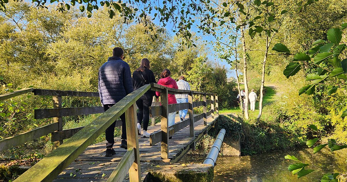 groupe de marcheurs traversant un pont en bois dans un espace boisé