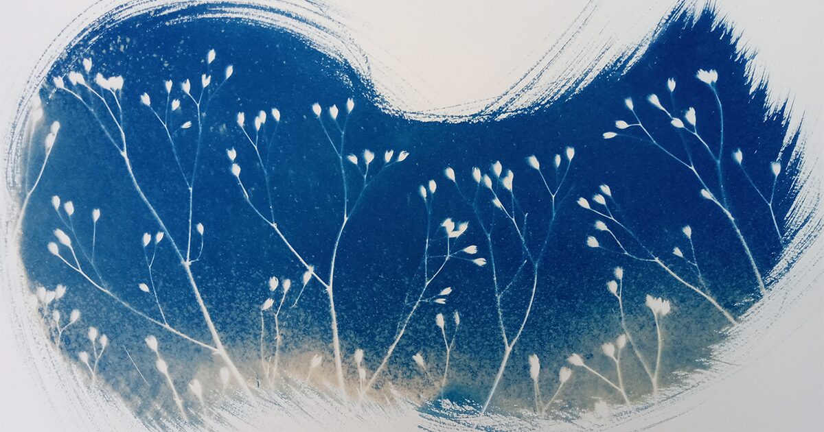 cyanotype bleu de fines fleurs beiges