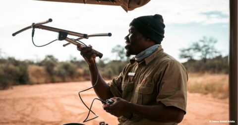 Photographie d'un guide dans la savane