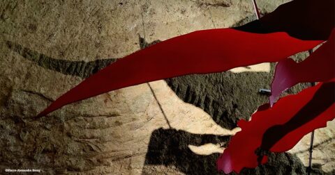 morceau de tissus rouge flottant au dessus d'un sol rocailleux beige