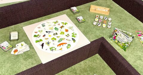 jeux de cartes et livres sur la nature posés sur une table verte
